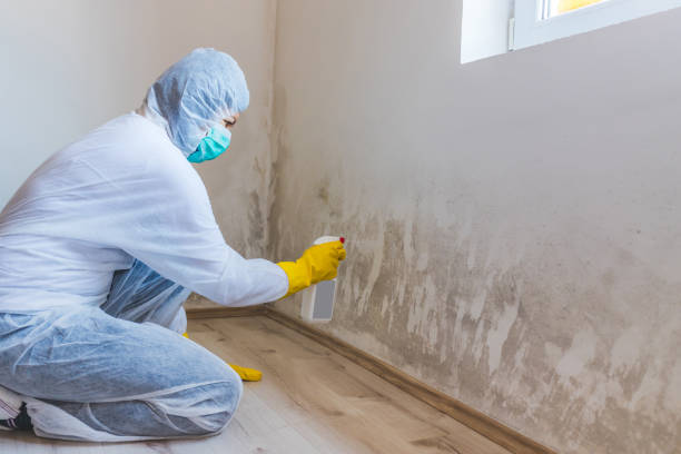 Mold Remediation specialist working in Exmore