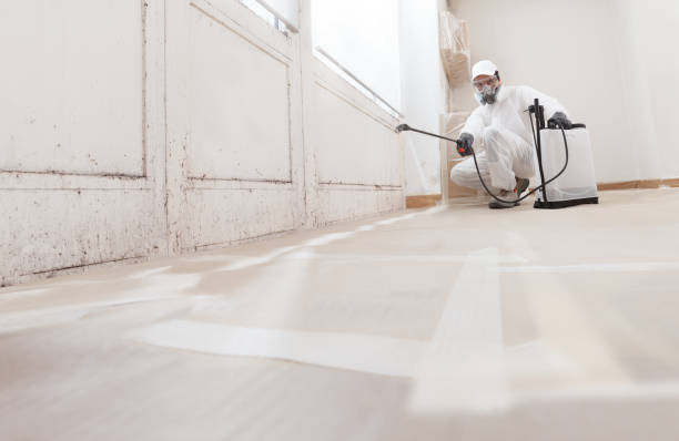 Post-remediation clearance in Exmore