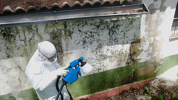 Clearance testing in Exmore